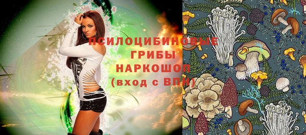 молекула духа Алзамай