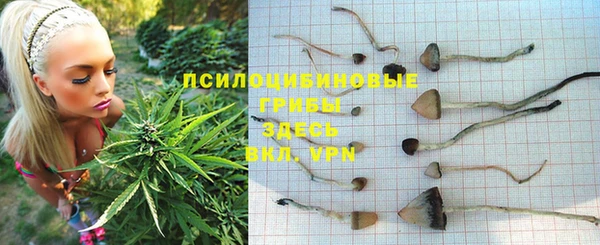 молекула духа Алзамай