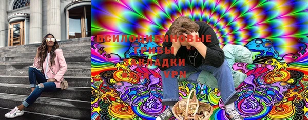 молекула духа Алзамай