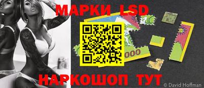 гидра Камышлов